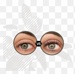 Lash - Liftandtint Emoji,Glance Eye Emoji