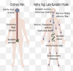 Kundalini - Hatha Yoga Emoji,Sacred Knowledge Of Vibration And The Power Of Human Emotions