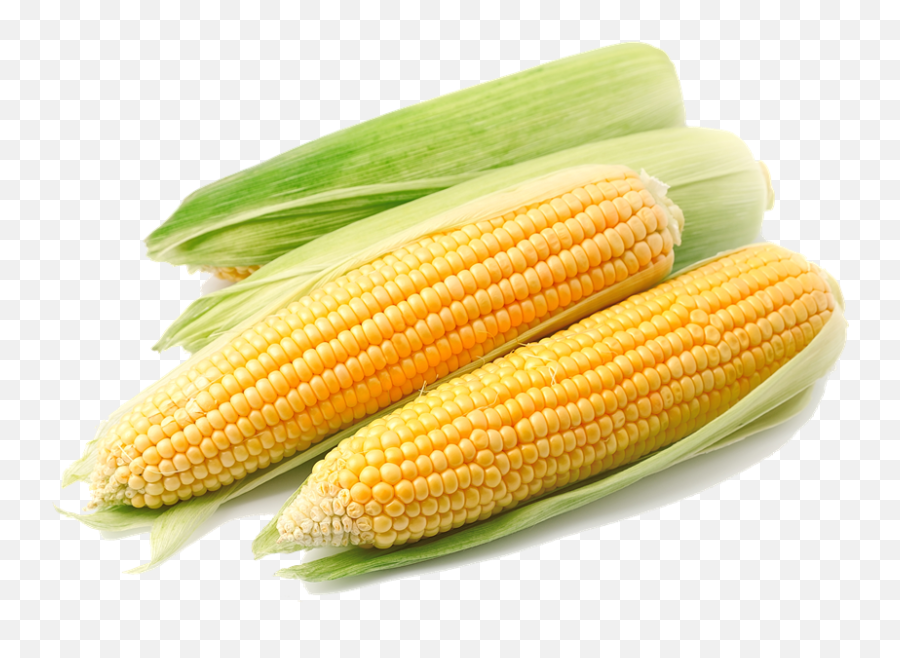 Corn Image On Transparent Background - Corn Clear Background Emoji,Corn Cob Emoji