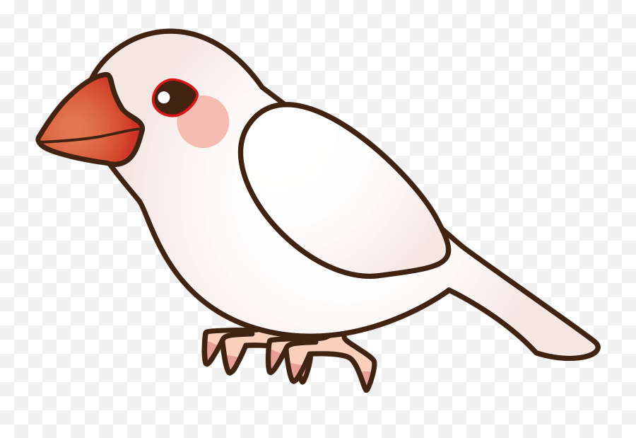 Java Sparrow Bird Clipart - Soft Emoji,Sparrow Emoji