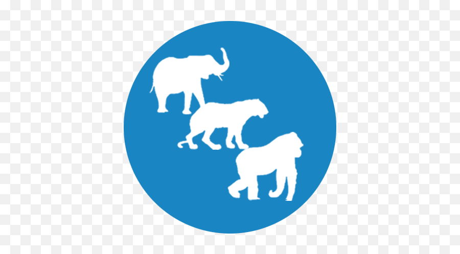 African Elephant - Animal Figure Emoji,Elepahnt Model Emotion