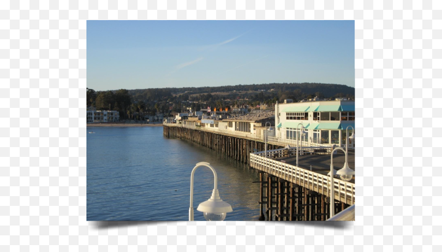 Brattononlinecom The Latest Incarnation Of Bruce - Santa Cruz Wharf Emoji,Kayak Console Emotion