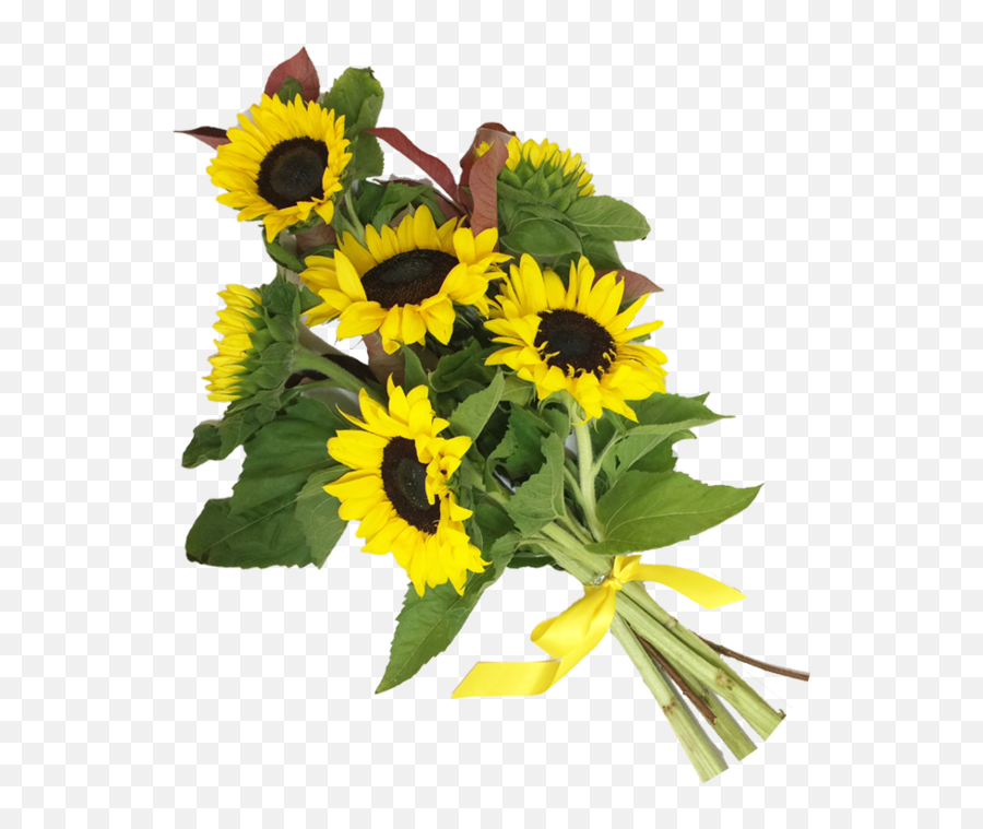 Florist Sunshine Coast - Sun Flower Bunch Png Emoji,Sunflowers Emotion