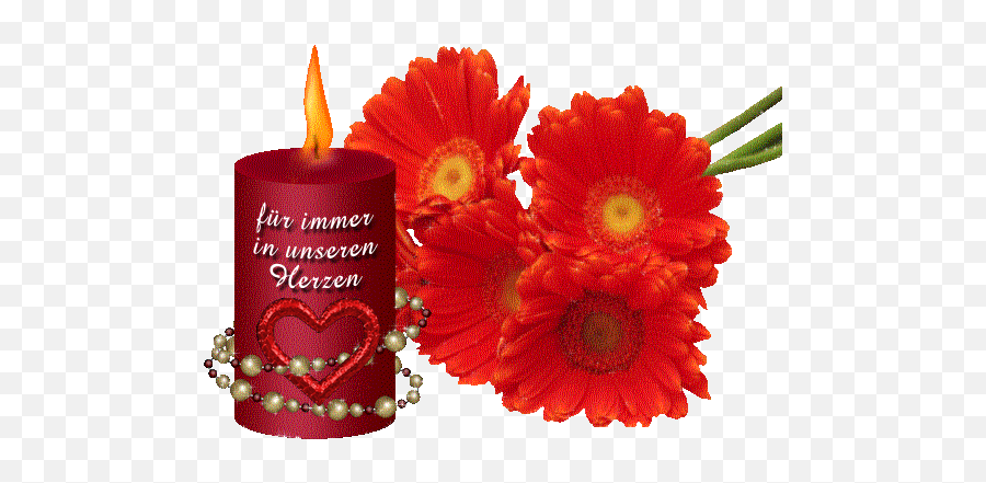 Funeral Candles Grief Candles Vogel Jako - Vejo Flores Em Você Significado Emoji,Lit Candle Emoticon
