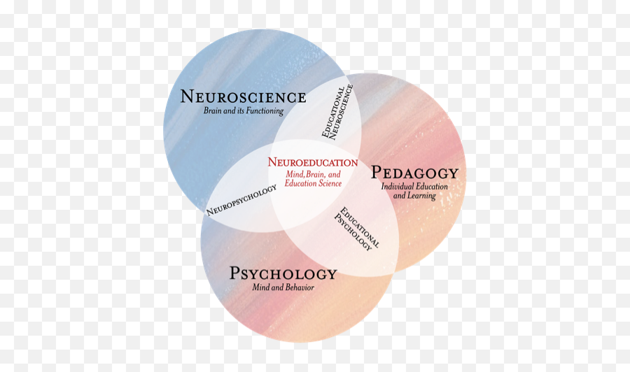 Methodology U2013 One Song One World - Mind Brain Education Science Emoji,Janelle Monae Emotion Picture