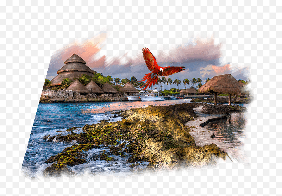 México Destination Club Hoteles Xcaret Vacation Club Emoji,Emotion Ocean Water