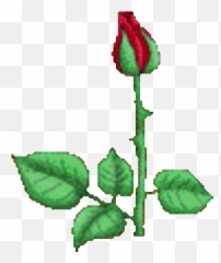 Top Y Ese Culito Stickers For Android U0026 Ios Gfycat Emoji,Emoticons De Planta
