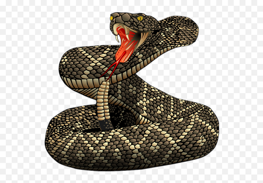 Snake Rattlesnake Rattler Sticker - Rattlesnake Tattoo Emoji,Rattlesnake Emoji