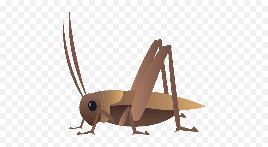 Cricket Nature Gif - Insect Cricket Gif Clipart Emoji,Crickets Emoji