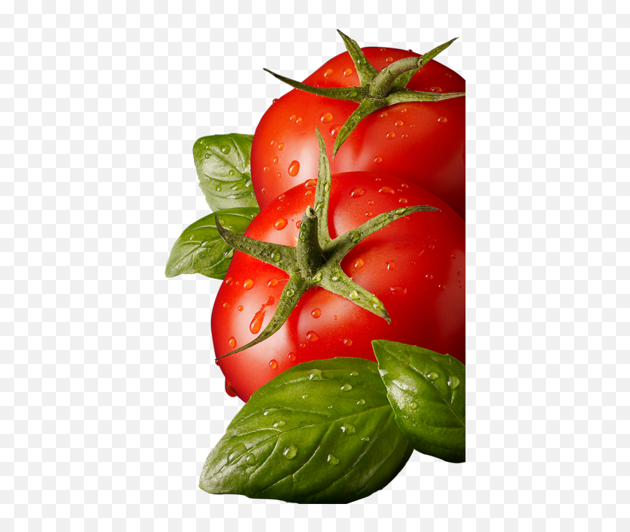 Free Tomato Transparent Download Free Tomato Transparent - Tomato Png Emoji,Tomato Can Emoji