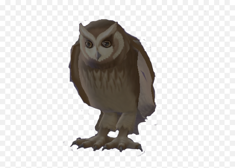 Owl Harry Potter Wiki Fandom - Harry Potter Owls Emoji,Owl Emotions Sort