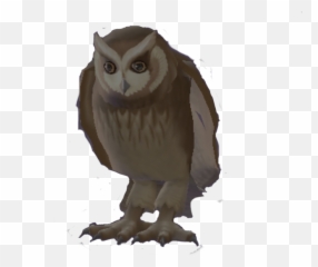 Owl Harry Potter Wiki Fandom - Harry Potter Owls Emoji,Owl Emotions Sort