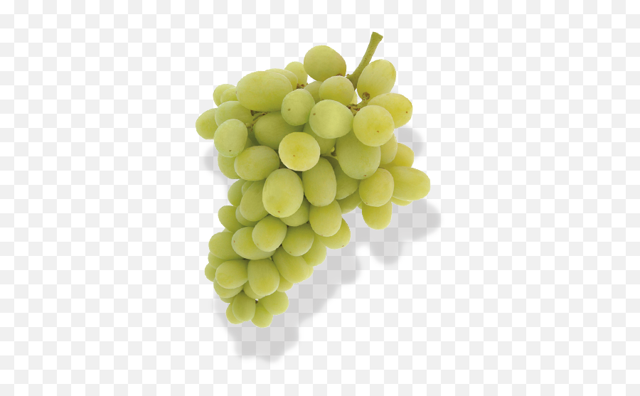 Grapes - Hronis Inc Diamond Emoji,Facebook Emoticons Grapes