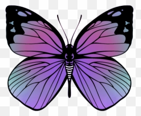 Butterfly Garden - Personalized Remembrance Tribute For Emoji,Karen Lawson Md Emotions