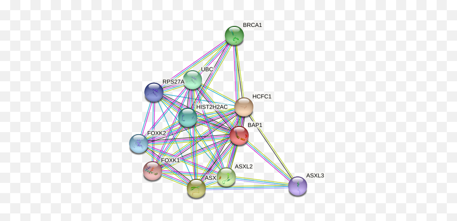 Bap1 Protein Human - String Interaction Network Emoji,Chinese Emotion Ovaries