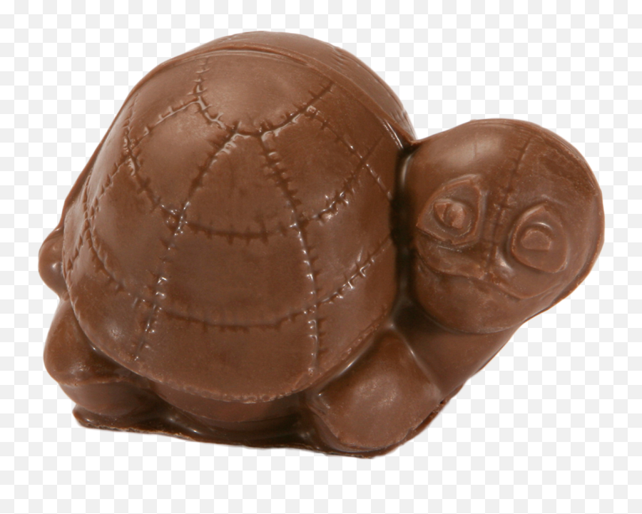 Chocolate Turtle Made In Milk Chocolate U0026 Orange Chocolate Emoji,How To Make A Turtle Emoticon On Facebook