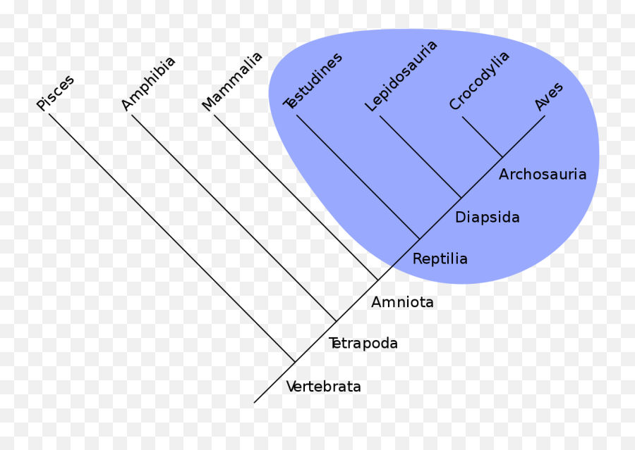 Emoji,Emotion And Phylogeny