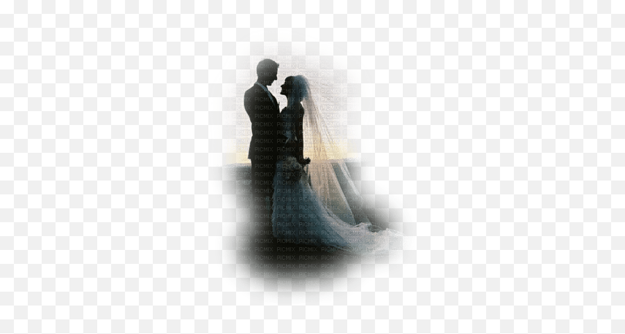 Wedding Couple Bride And Groom Couple Mariage - Picmix Emoji,Wedding Emoji
