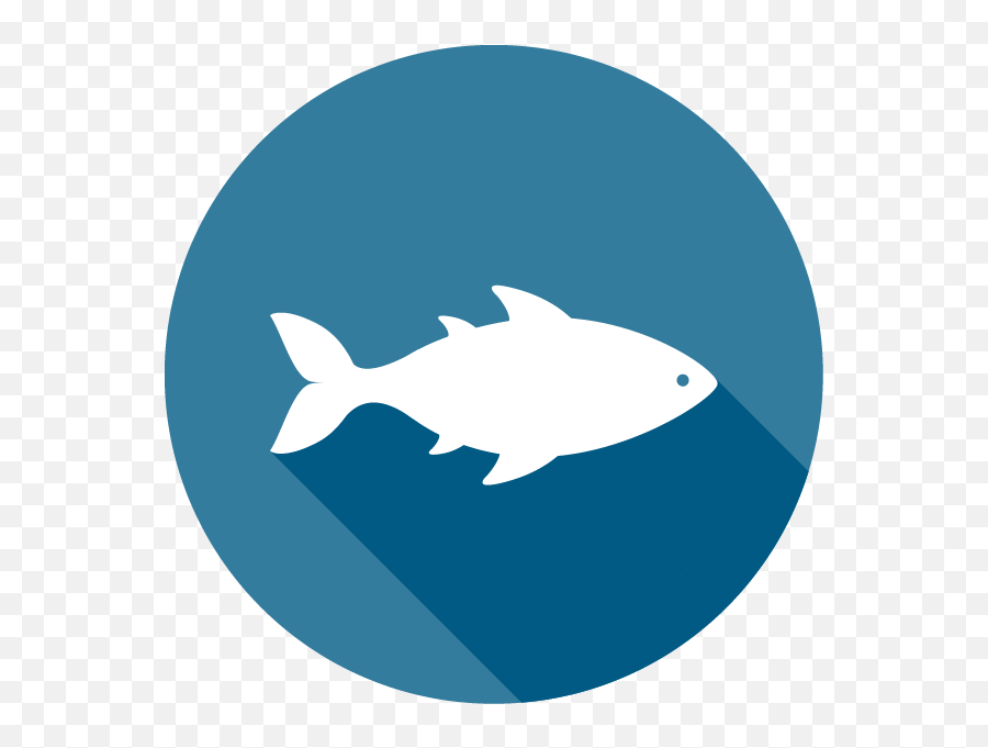 Download Blue Icon Of A Fish - Seafood Icon Png Full Size Vector Sea Food Png Emoji,Blue Fish Emoji