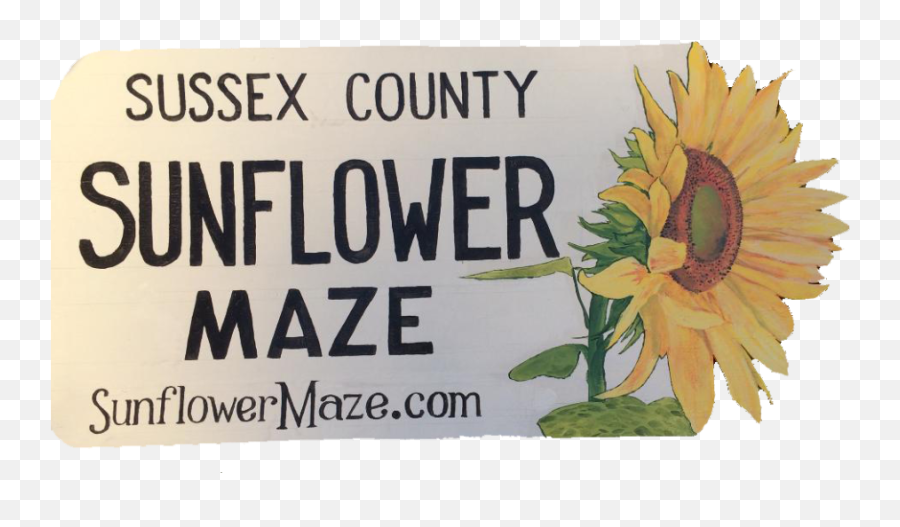 Sunflower Maze - The Museum Of Modern Art Emoji,Sunflowers Emotion