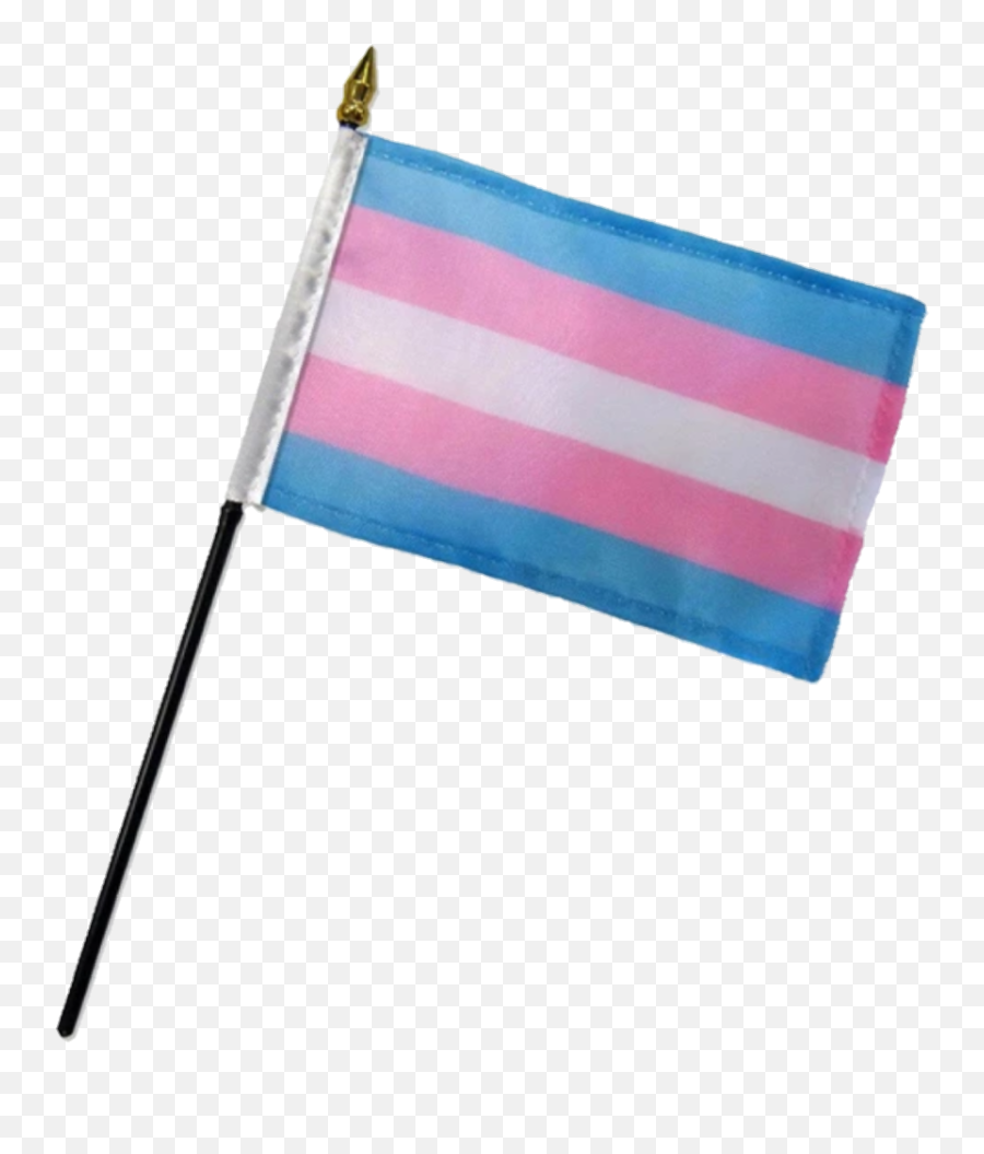 Lgbt Trans Flag Pole Sticker By Faegan - Trans Flag On Pole Emoji,Pole Emoji