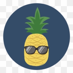 Deportee And Inad Passenger - Travelinsightpedia Fresh Emoji,Plane Crashing Emoji