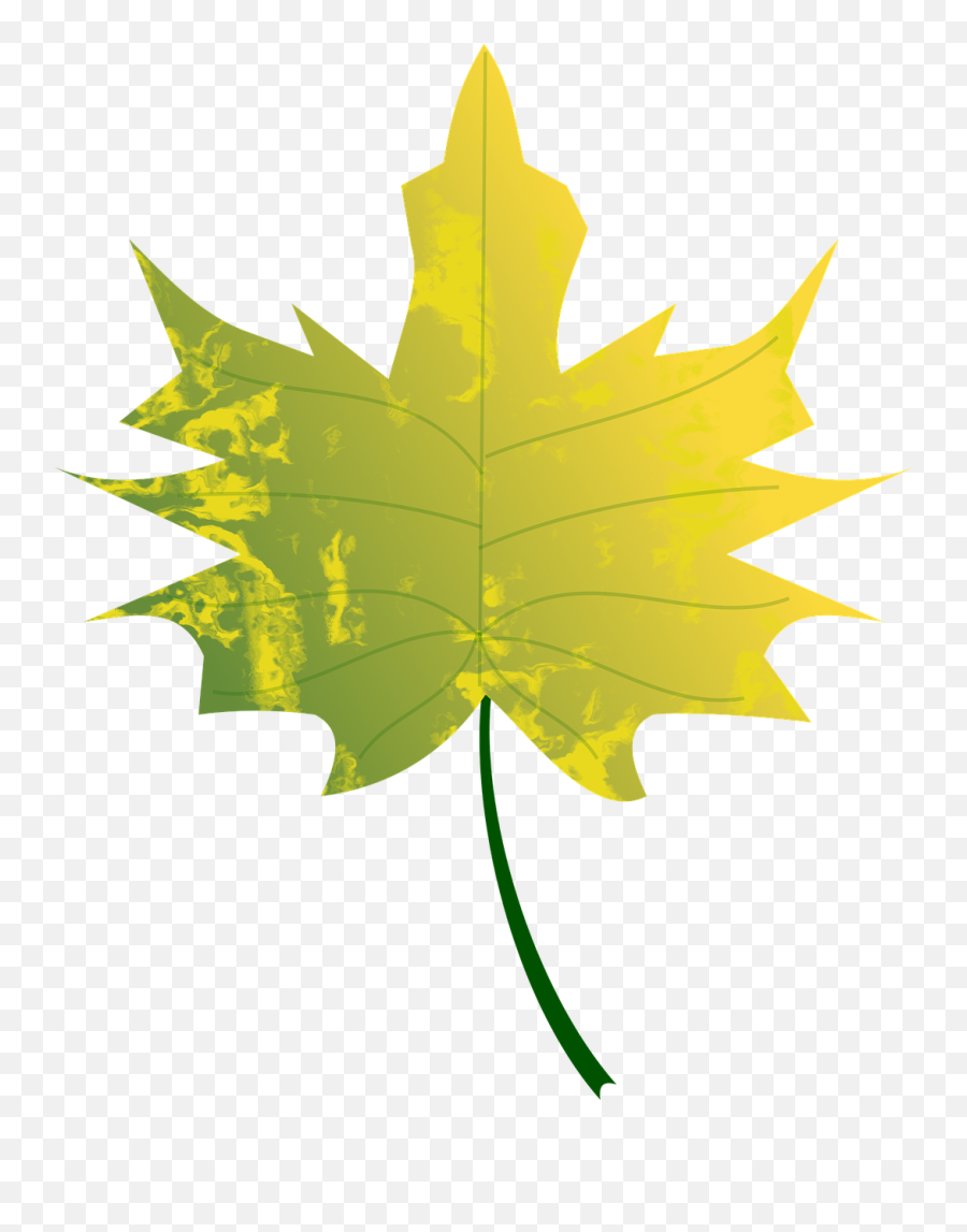 Green Yellow Fall Leaves Emoji,Maple Leaf Flag Emoticon Small