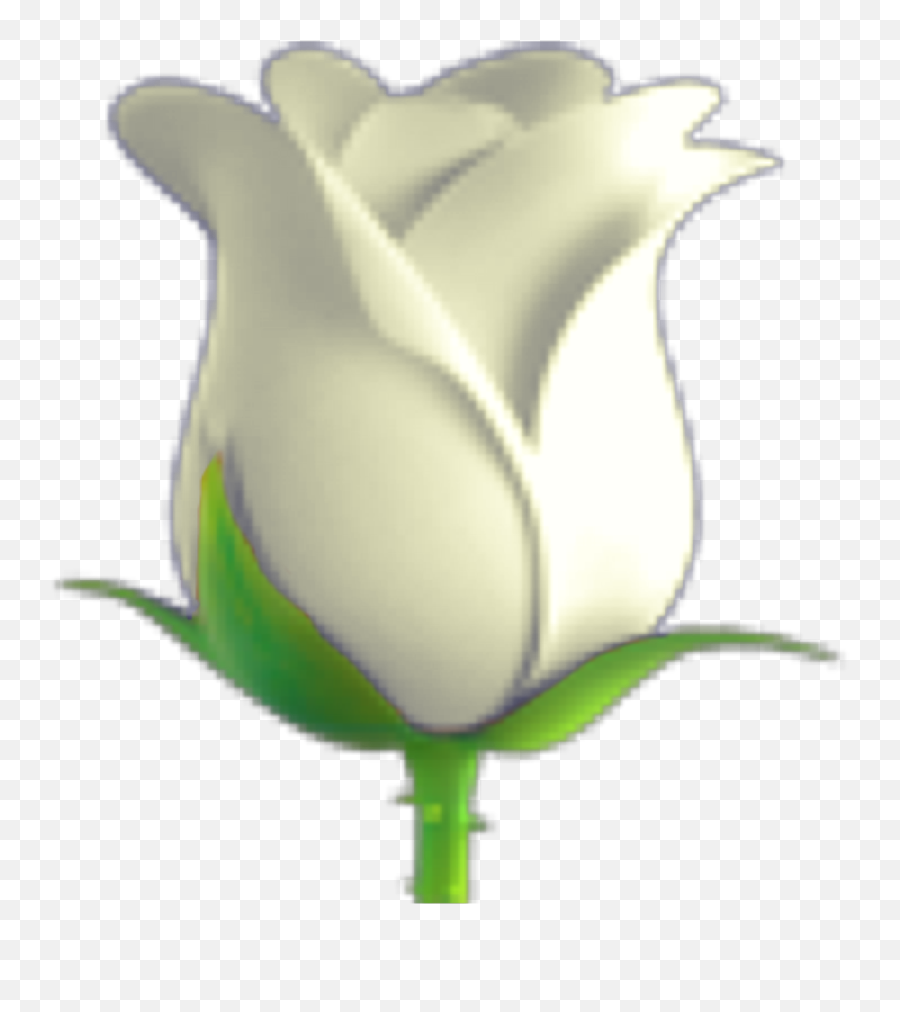 Смайлик тюльпан скопировать. Белый цветок эмодзи. Эмодзи Розочка.