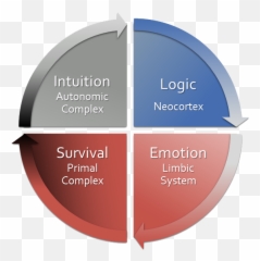 Home Emoji,Autonomic Emotion Video