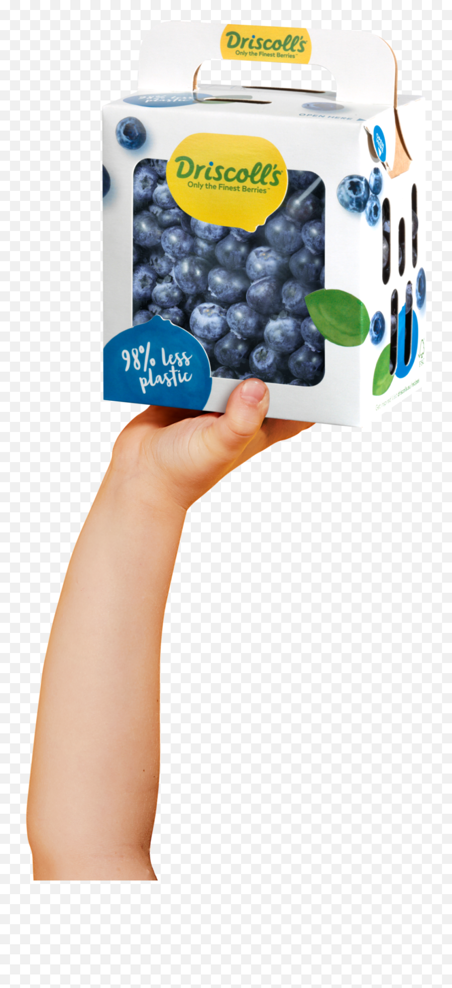 Driscollu0027s Followthefinest Emoji,Blue Berry Emoji