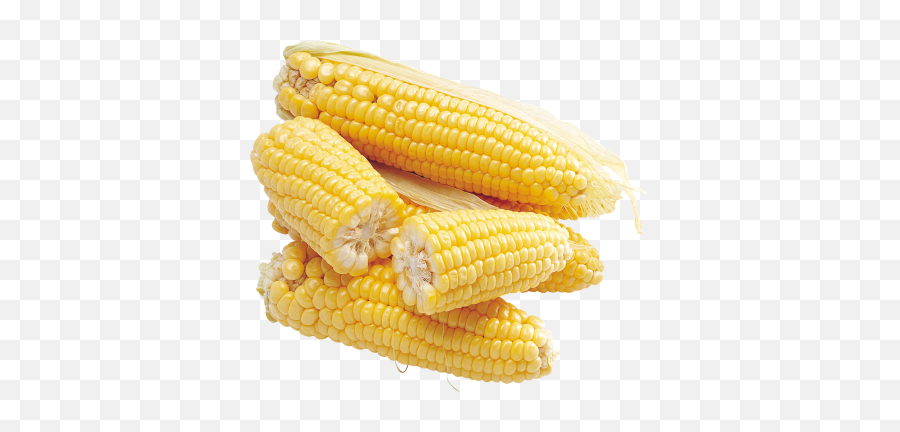 Corn Cut Out Png Emoji,Corn Cob Emoji