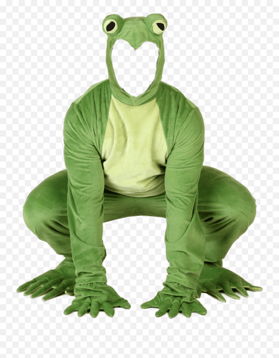 Kermit The Frog Transparent 1 - Frog Costume Png Emoji,Kermit Emoji