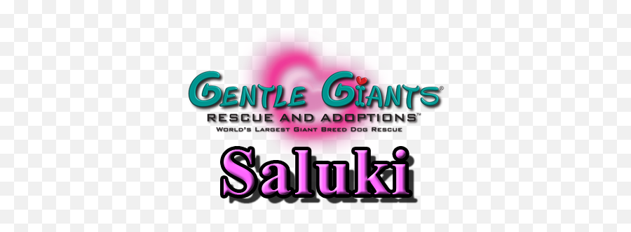Saluki At Gentle Giants Rescue And - Language Emoji,Whippets High On Emotion