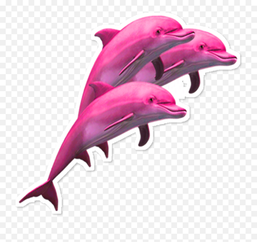 Vaporwave Dolphin Png Transparent Png - Pink Dolphin Transparent Background Emoji,Dolphin Emoji