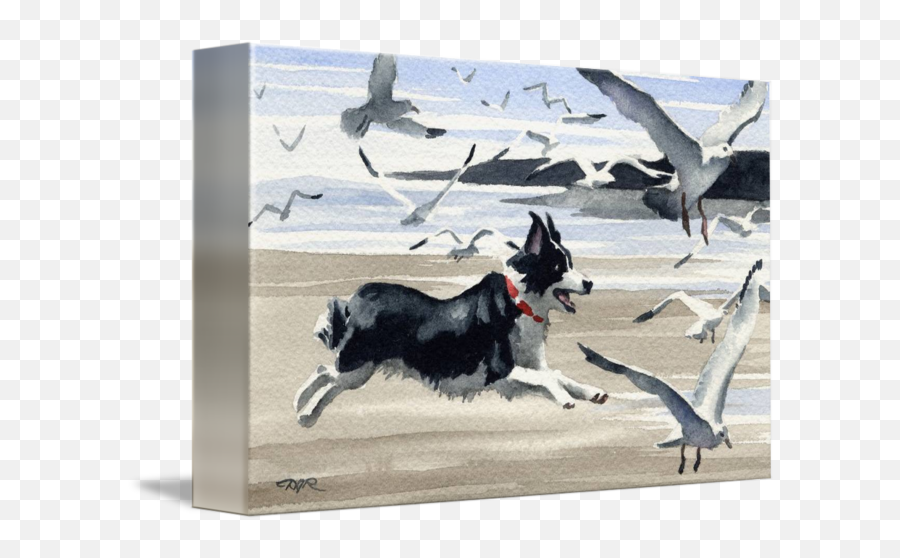 Border Collie At The Beach - Border Collie On Beach Painting Emoji,Husky/border Collie Emoji