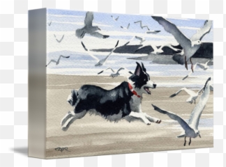 Border Collie At The Beach - Border Collie On Beach Painting Emoji,Husky/border Collie Emoji
