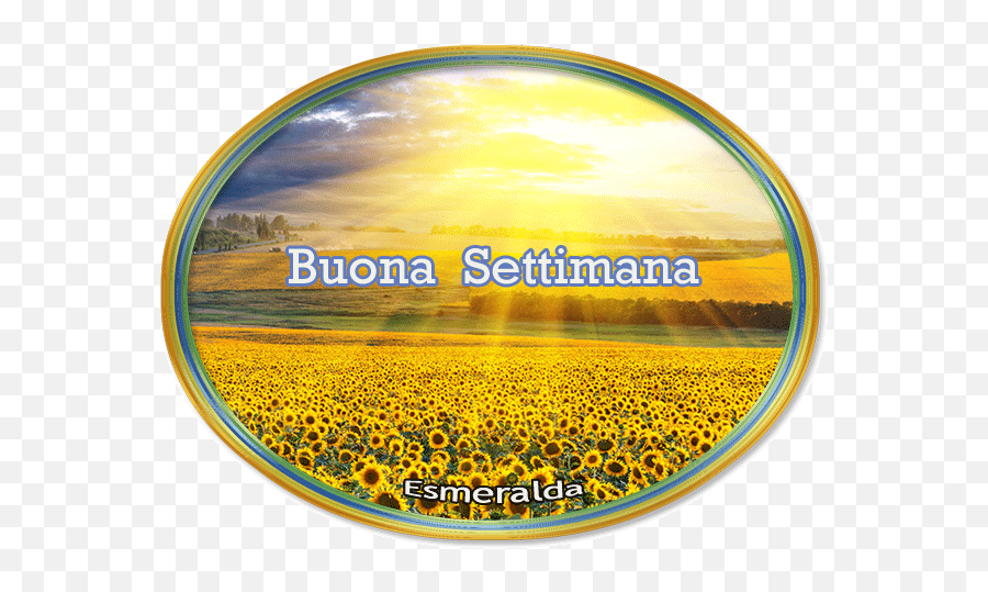 Il Gioco Del Lotto Su Nonsololotto - Hd 4k Sunflower Background Emoji,2bla Emoticon