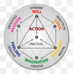 What Is The Seven Types And Psychosynthesis Typology - Assagioli Seven Types Emoji,Seven Basic Emotions