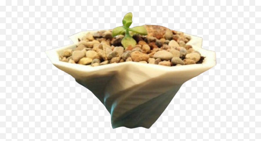 Geometric Twisted Plant Pot Vase - Mixture Emoji,3d Printed Emojis