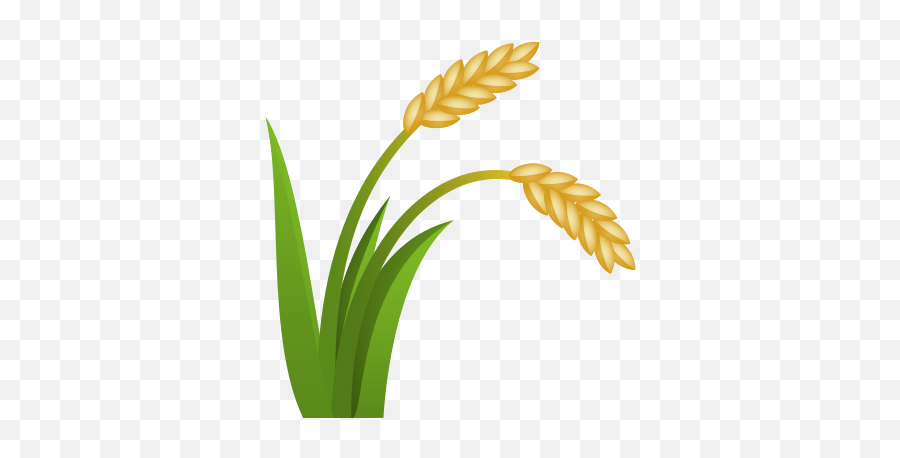 Sheaf Of Rice Icon - Rice Vector Icon Png Emoji,Ios Wheat Emoji