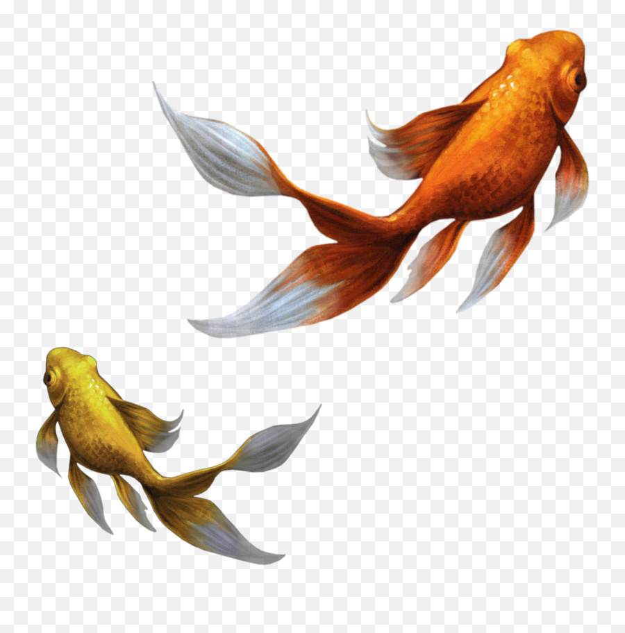 The Coolest Fish Stickers - Goldfish Emoji,Fish Horse Head Emoji