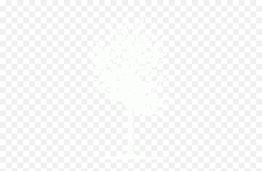 White Tree 2 Icon - Free White Tree Icons White Tree Icon Transparent Emoji,Facebook Deciduous Tree Emoticon