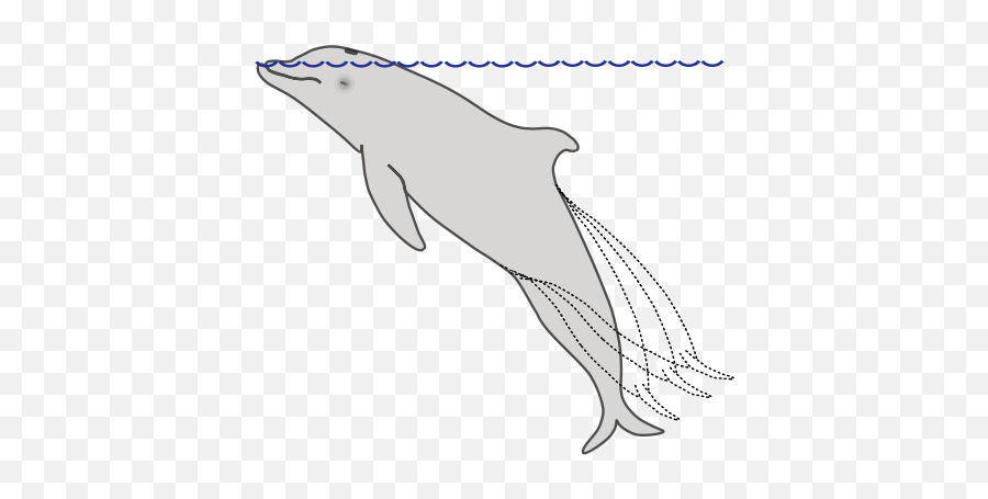 Dolphin - Long Do Dolphins Sleep Emoji,Dolphin Emotions