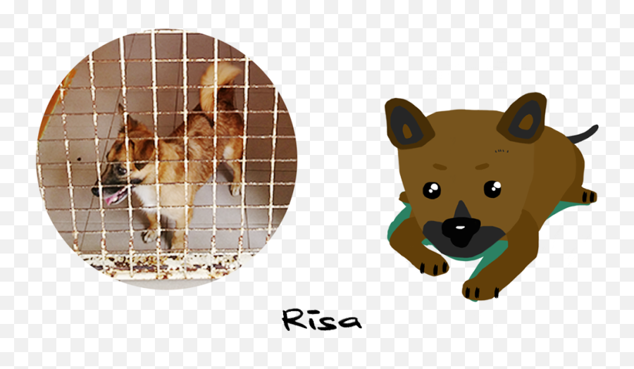 Do You See The Doggie In The Shelter On Behance Emoji,Android Animal Emoji