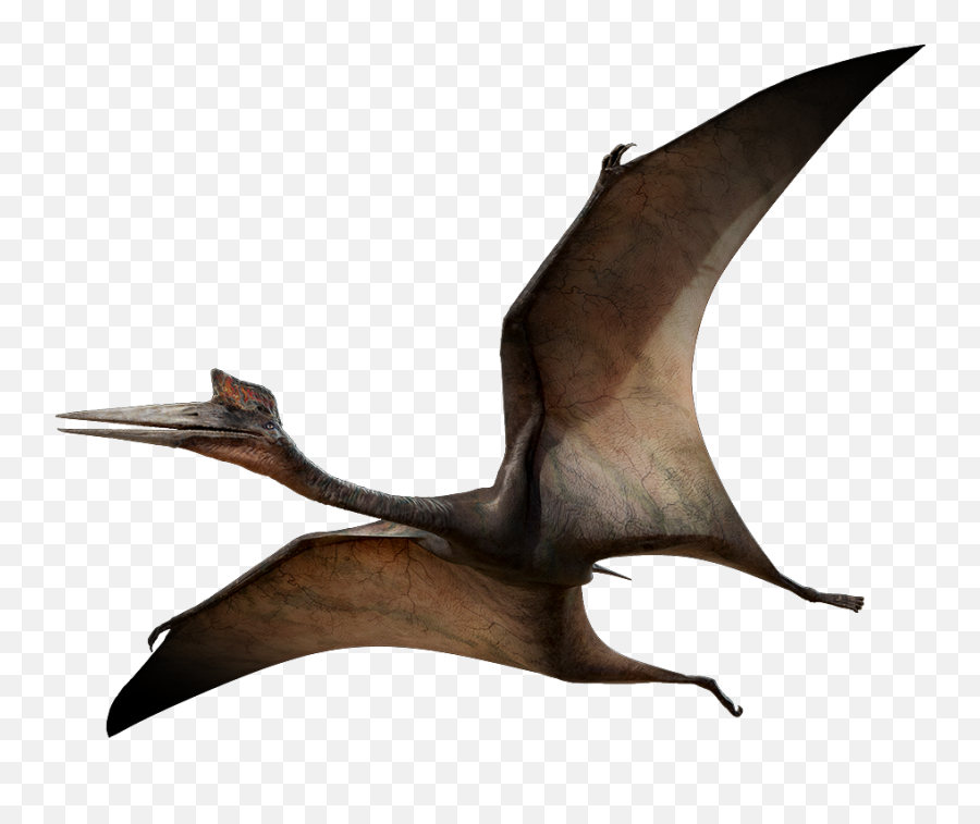 Pterosaurs Transparent Background Png - Pterodactyl Png Emoji,Pterodactyl Emoji