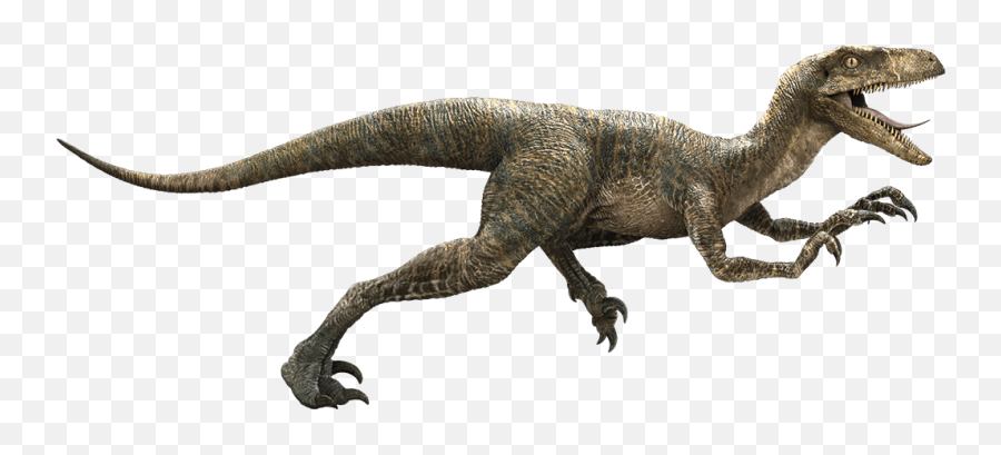 Velociraptor - Echo Velociraptor Emoji,Movie Where Emotions Were Shown As Cgi People