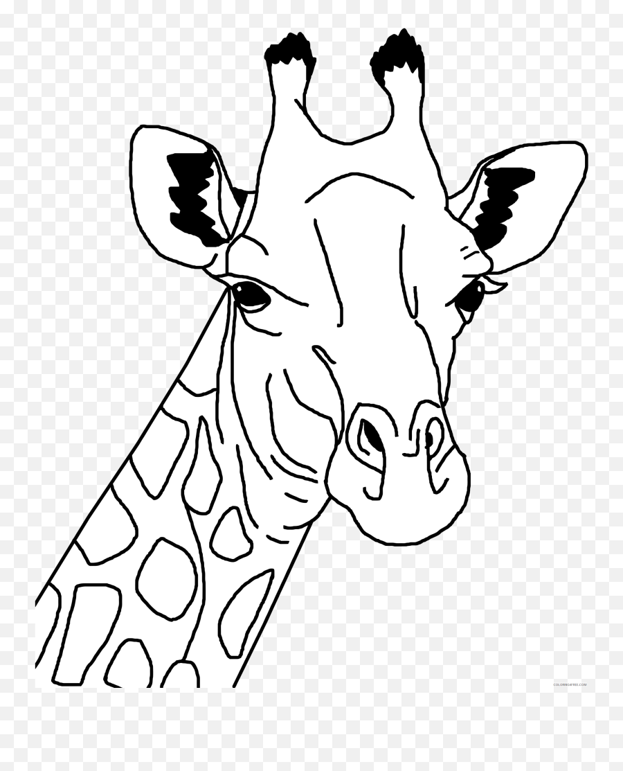 Black And White Giraffe Coloring Pages Giraffe Line Art Bpng - Giraffe Head Black And White Emoji,Giraffe Emoji