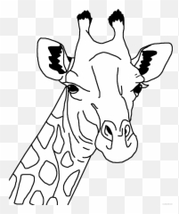 Black And White Giraffe Coloring Pages Giraffe Line Art Bpng - Giraffe Head Black And White Emoji,Giraffe Emoji