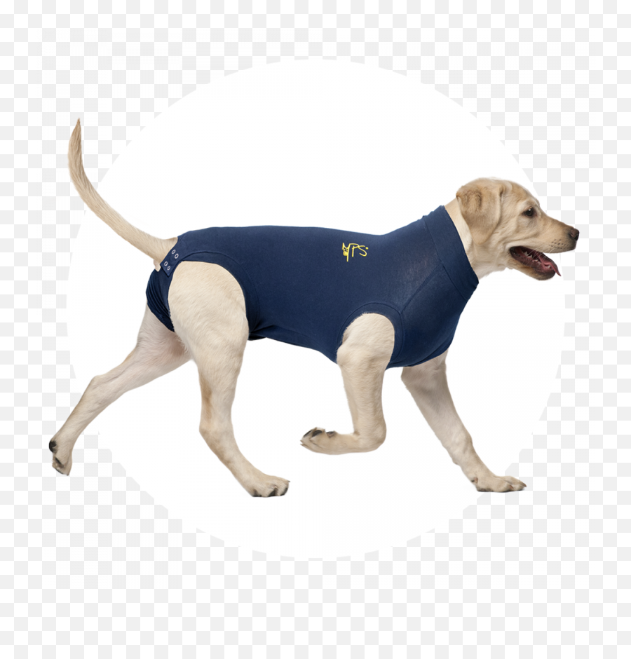 Mps - Medical Pet Shirt Emoji,Pet Emotions Chart