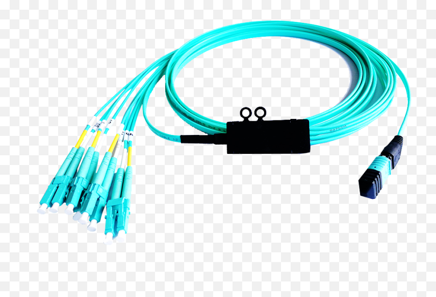 Fiber Optic Connectivity Fiber Optic Pigtails Data Emoji,Wire Emoticons